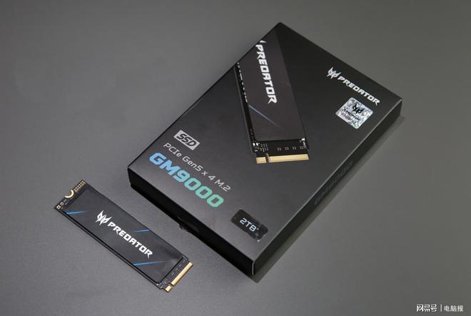 00 神舆PCIe 50 SSD测评PP电子性能翻倍提升！掠夺者GM90(图1)